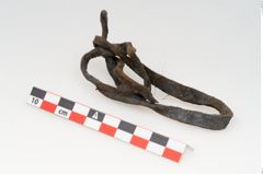 Foto von Rohhaut (NHMW-PRAE-125537)